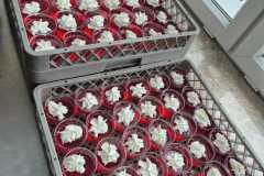 andrzejki-sp-uz-2025-16