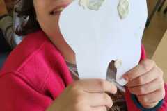 WhatsApp-Image-2025-11-06-at-15.38.11