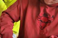 WhatsApp-Image-2025-11-06-at-15.38.132