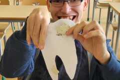 WhatsApp-Image-2025-11-06-at-15.38.141