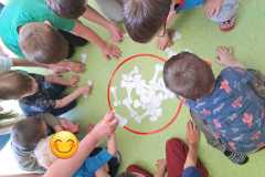 pies-bezpieczenstwo-17