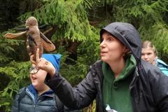 chata-przychody-UZ-14