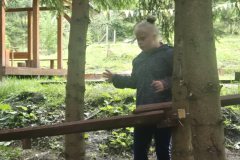 chata-przychody-UZ-21