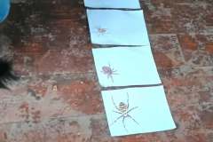 chata-przychody-UZ-34