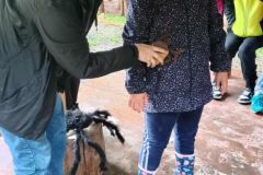 chata-przychody-UZ-37