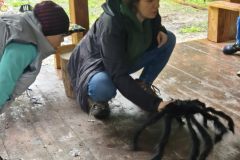 chata-przychody-UZ-8