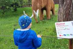 IMG-20230529-WA0120