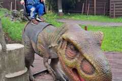 dinozaury-PS-23-13