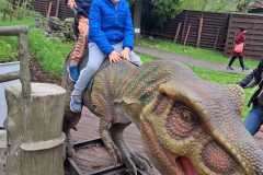 dinozaury-PS-23-28