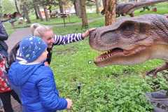 dinozaury-PS-23-33