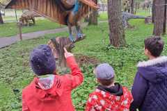 dinozaury-PS-23-46