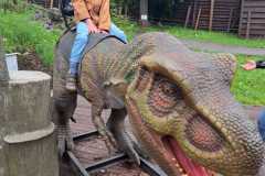 dinozaury-PS-23-5
