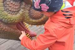dinozaury-PS-23-50
