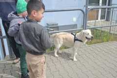 IMG-20250513-WA0015