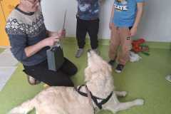 IMG-20250513-WA0016