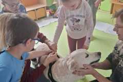 IMG-20250513-WA0020