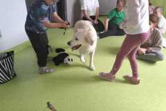 IMG-20250513-WA0023