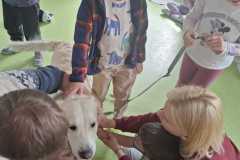 IMG-20250513-WA0024