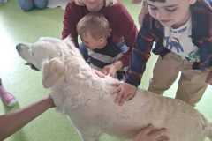 IMG-20250513-WA0026