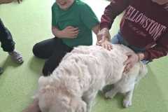 IMG-20250513-WA0027