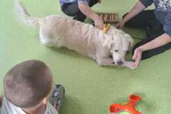 IMG-20250513-WA0029