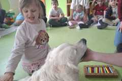 IMG-20250513-WA0031