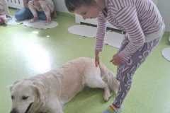 IMG-20250513-WA0032