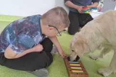 IMG-20250513-WA0035