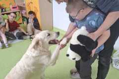 IMG-20250513-WA0036