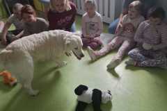 IMG-20250513-WA0037