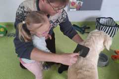 IMG-20250513-WA0040