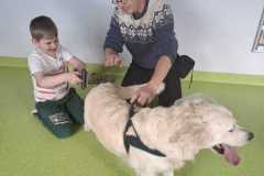 IMG-20250513-WA0043