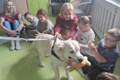 IMG-20250513-WA0046