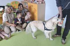 IMG-20250513-WA0047