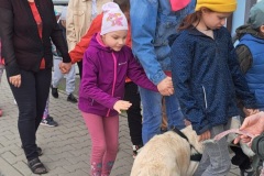 IMG-20250513-WA0058