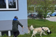 IMG-20250513-WA0059
