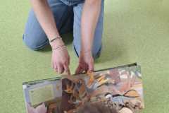 dzien-dinozaura-25-25