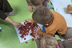 dzien-misia-PS-25-24