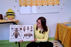 dzien-pszczoly-PS-24-52