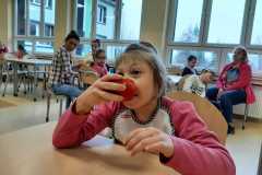 ekologiczne-owoce-43