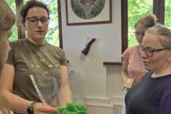 IMG-20250610-WA0004