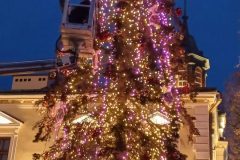 20251216_161422-scaled