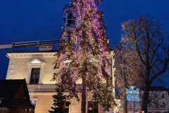 IMG-20251216-WA0013