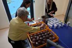 WhatsApp-Image-2026-01-30-at-18.27.39-1