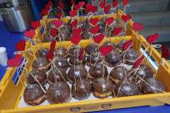 WhatsApp-Image-2026-01-30-at-18.27.39-2