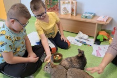 dzien-krolika-PS-25-11