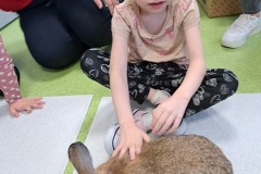 dzien-krolika-PS-25-12