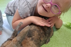 dzien-krolika-PS-25-15