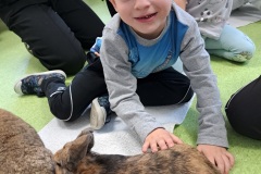 dzien-krolika-PS-25-16