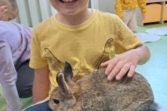 dzien-krolika-PS-25-18